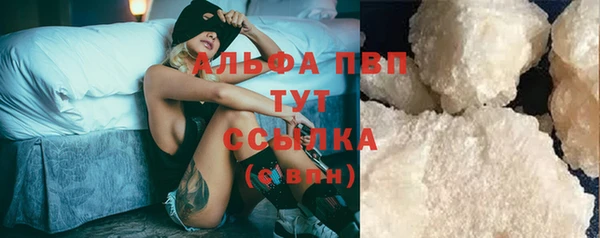 шишки Инта