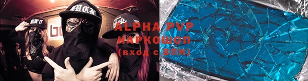 шишки Инта