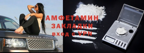 шишки Инта
