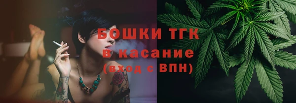 шишки Инта