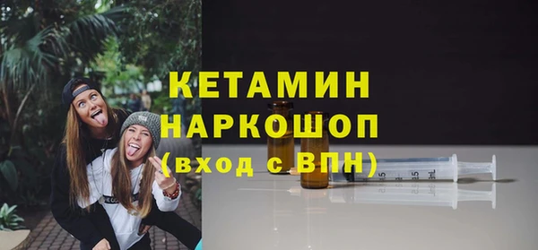 шишки Инта