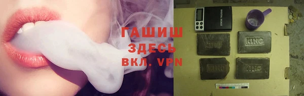 шишки Инта