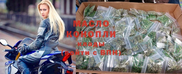 шишки Инта