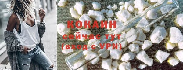 шишки Инта