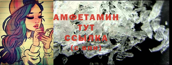 шишки Инта
