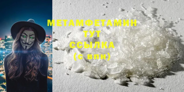 шишки Инта
