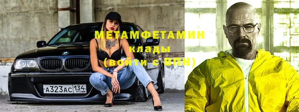 шишки Инта