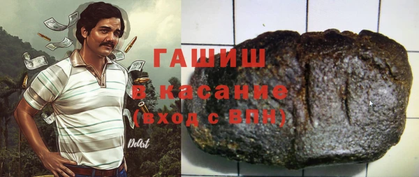 шишки Инта
