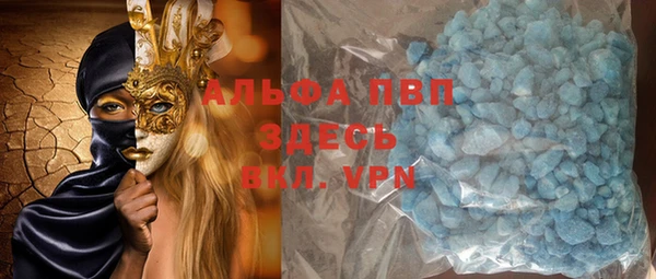 шишки Инта