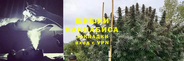 шишки Инта