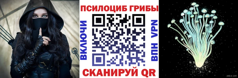Галлюциногенные грибы Psilocybine cubensis  Купить  Вилючинск 